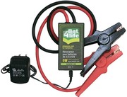 Bat4Life : rénovateur de batterie