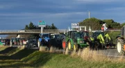 Mobilisation des agriculteurs : l'ombre des gilets jaunes plane sur la France ?
