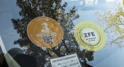 ZFE : 6 Français sur 10 pensent qu'il y en a trop