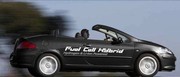 Peugeot 307 CC FiSyPAC
