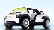 Citroën Lacoste : une Méhari en croco