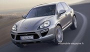 Porsche Cajun : Petit calibre