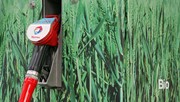 78% des Français seraient prêts à utiliser des biocarburants