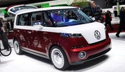 Volkswagen Bulli : Flower power ?
