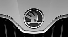 Skoda dévoile ses nouvelles couleurs