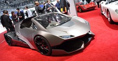 Espera Sbarro Evoluzione : Mutation génétique