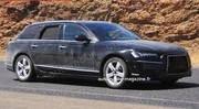 Audi A6 Avant 2011 : Programme contrasté