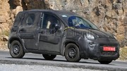 Fiat Panda 2012 : toujours plus de spyshots !