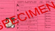 Fraude : trois millions de faux permis de conduire en France ?