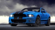 Ford Mustang Shelby GT 500 : Gros bras