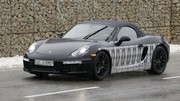 Porsche Boxster : Quasi à poil !