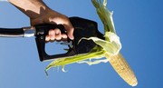 Les biocarburants bridés par le gouvernement ?
