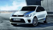 Volkswagen Polo R WRC : le prix de la rareté