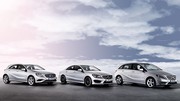 L'administration française interdit la vente des Mercedes
