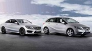 Blocage des Mercedes: Daimler va attaquer la France en justice