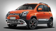 Fiat Panda Cross 2014 : Le "4x4 de ville" change de nom et d'apparence