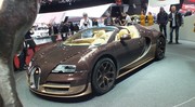 Bugatti Veyron "Rembrandt Bugatti"