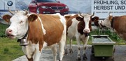 Suisse : l'auto n'est pas une "vache à lait" !