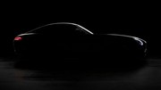 Mercedes-AMG GT : première photo