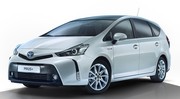 Toyota Prius+ 2015 : un lifting pour le monospace hybride