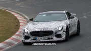 La Mercedes-AMG GT montre les crocs