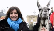Anne Hidalgo : « le futur de la mobilité à Paris passera par les lamas »
