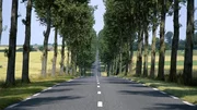 Sécurité routière : vers la fin des arbres le long des routes ?