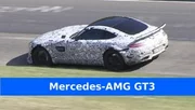 Mercedes AMG GT Black Series : Furie sur le Ring