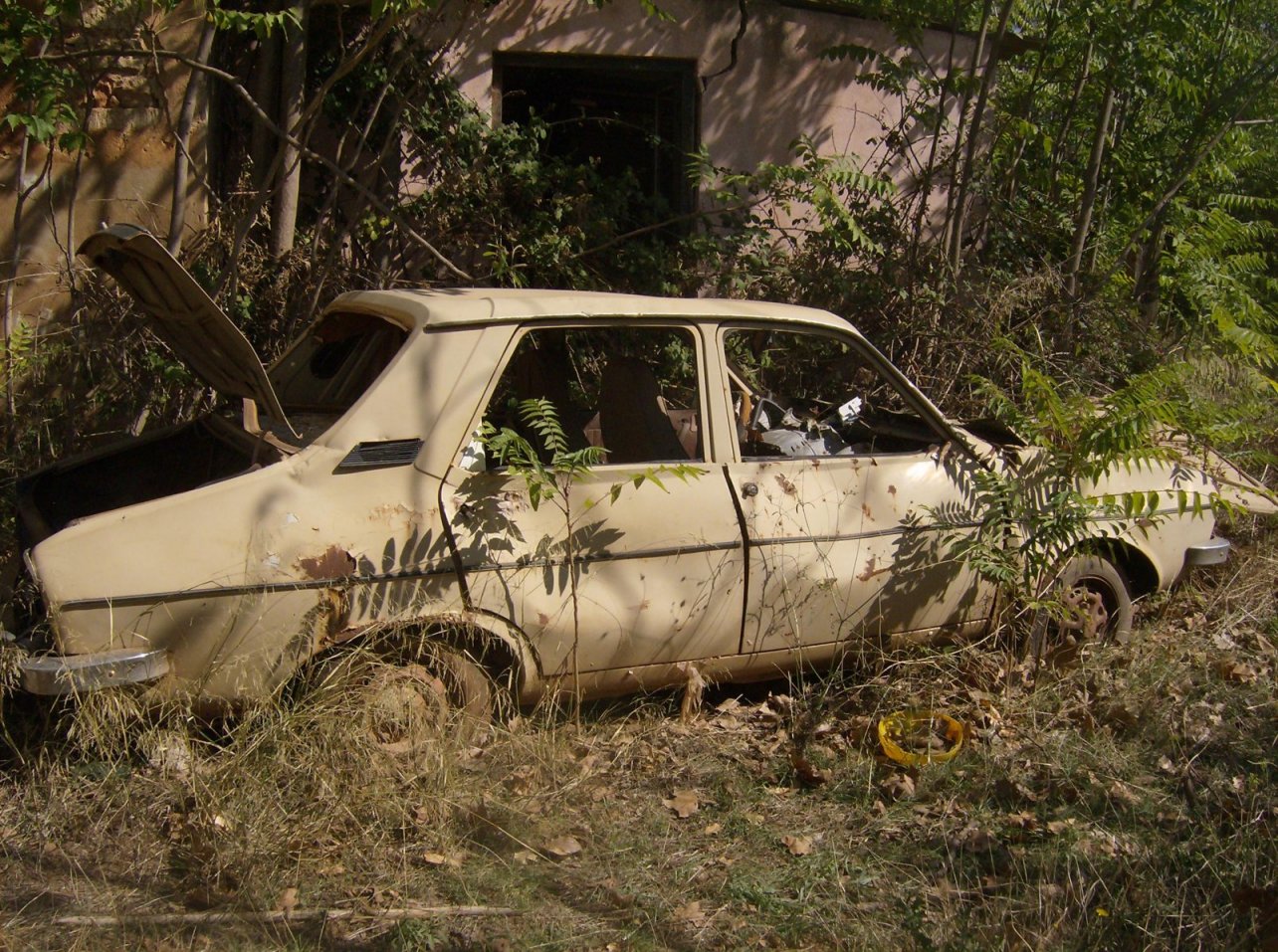 photos-d-paves-page-45-auto-titre