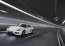 Porsche Cayman 981  (2013)