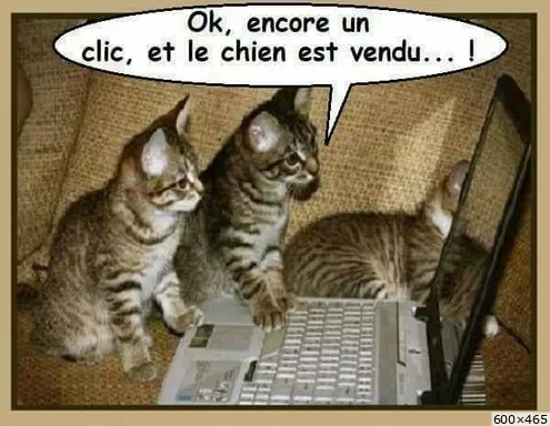 text alternatif